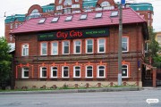 City Cats, мужской клуб