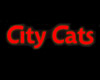 City Cats (Сити Кэтс), мужской клуб
