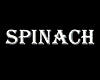 Spinach (Шпинат), британский паб